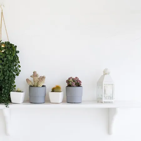 Dialezholidays - Atlantic Sunset Candelaria