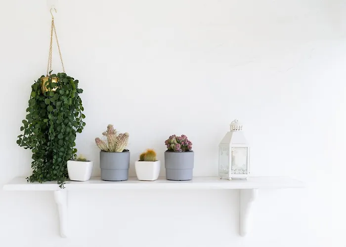 Dialezholidays - Atlantic Sunset Candelaria